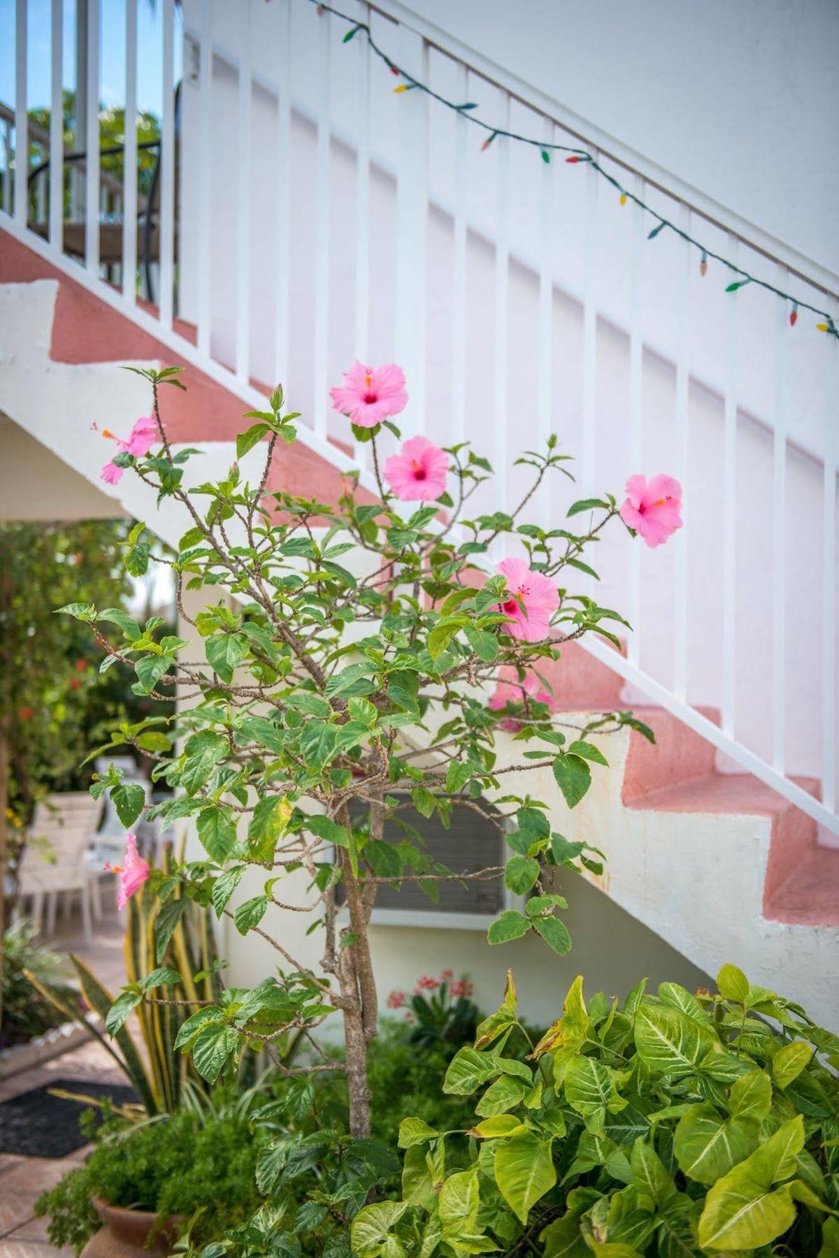 Shore Haven Resort Inn Lauderdale-by-the-Sea Eksteriør billede